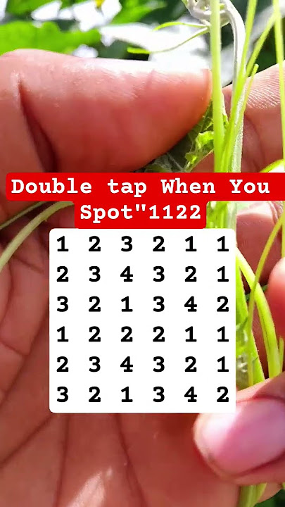 Double tap When You Spot'1122