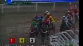 HIPODROMO LA PLATA 27/10/2009 9