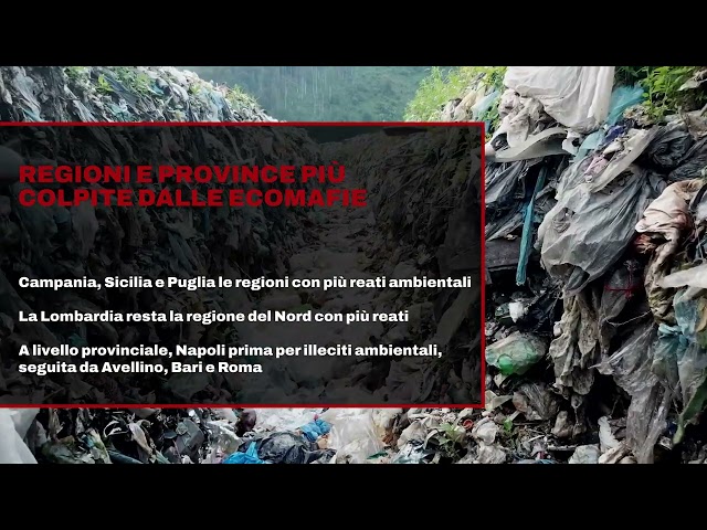 Rapporto Ecomafia 2024