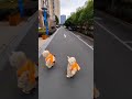 #funnymoments #funnybabyvideos #baby#viral#babylove #trending #viralvideo #tiktokviral #cutiepiekids