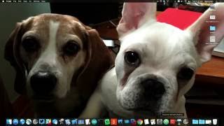 I Want My Windows Apps: Everyone can benefit from application virtualization