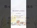 【お知らせ】佐々木恵梨の新曲「Snowflakes」のLyric Videoが12月18日22:00〜公開されます!チャンネル登録してお待ちくださいね!☕️❄️ #佐々木恵梨 #EriSasaki
