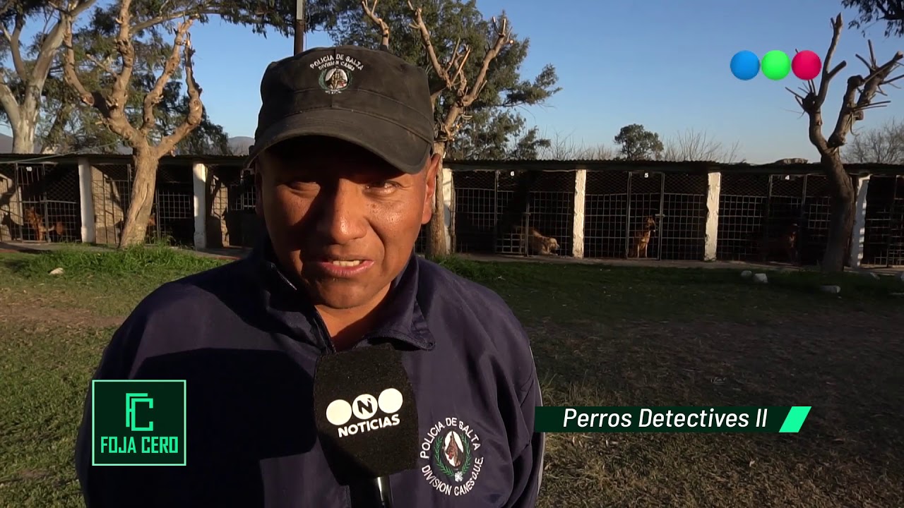 camera iphone 8 plus apk PERROS DETECTIVES II