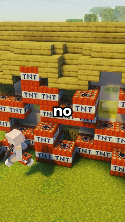 Why Everyone Loves This Minecraft Server! 😇 #smp #minecraft #youtube