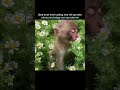 Coding Errors  Life Errors 😭 | Relatable Coding Meme