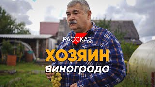 Посадил виноград и больше нигде не работаю: #рассказ о деревенском фермере