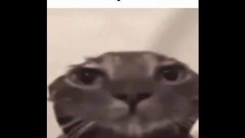 old lb bypassing blocksmc