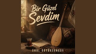 Bir Güzel Sevdim