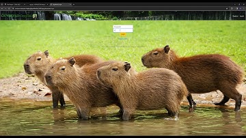 CS50 Final Project - Flask App with JavaSc and Jinja - created by Dominik Walczak