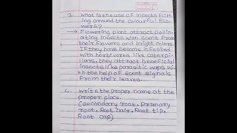 8th Science Bridge Course Day 2 सेतू अभ्यासक्रम विज्ञान दिवस 2 Subscribe to more Videos