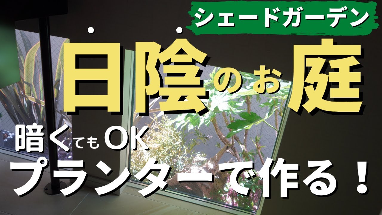 日陰のお庭で作る鉢植え 日陰だからって諦めないで Youtube