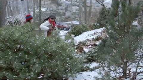 JW Library, The Bible is world most puppular Book🙏, @Kelsey jane Thompson Nice Job🙏