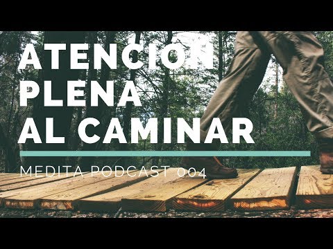 Vídeo: La Eficacia De La Meditación De Atención Plena Ha Sido Cuestionable - Vista Alternativa