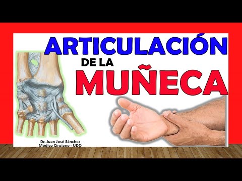Video: Rasgos Distintivos De La Muñeca 
