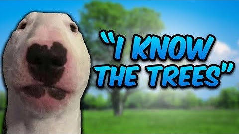 the most absurd geoguessr round you will ever see