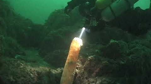 (5thD-X) Essentials Of Technical Diving (Introduction)