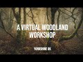 Landscape Photography | A Virtual Woodland Workshop