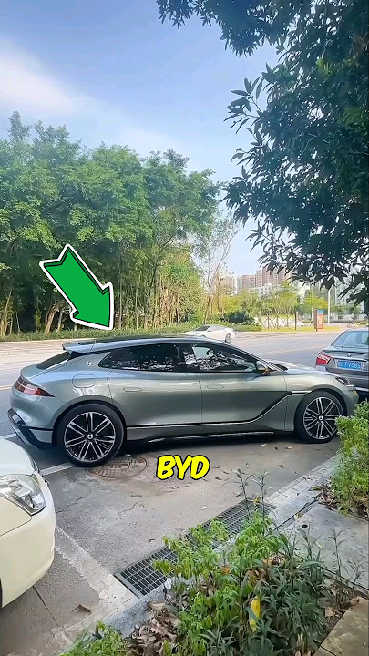 Have you seen this new parallel parking system by BYD? What do you think?