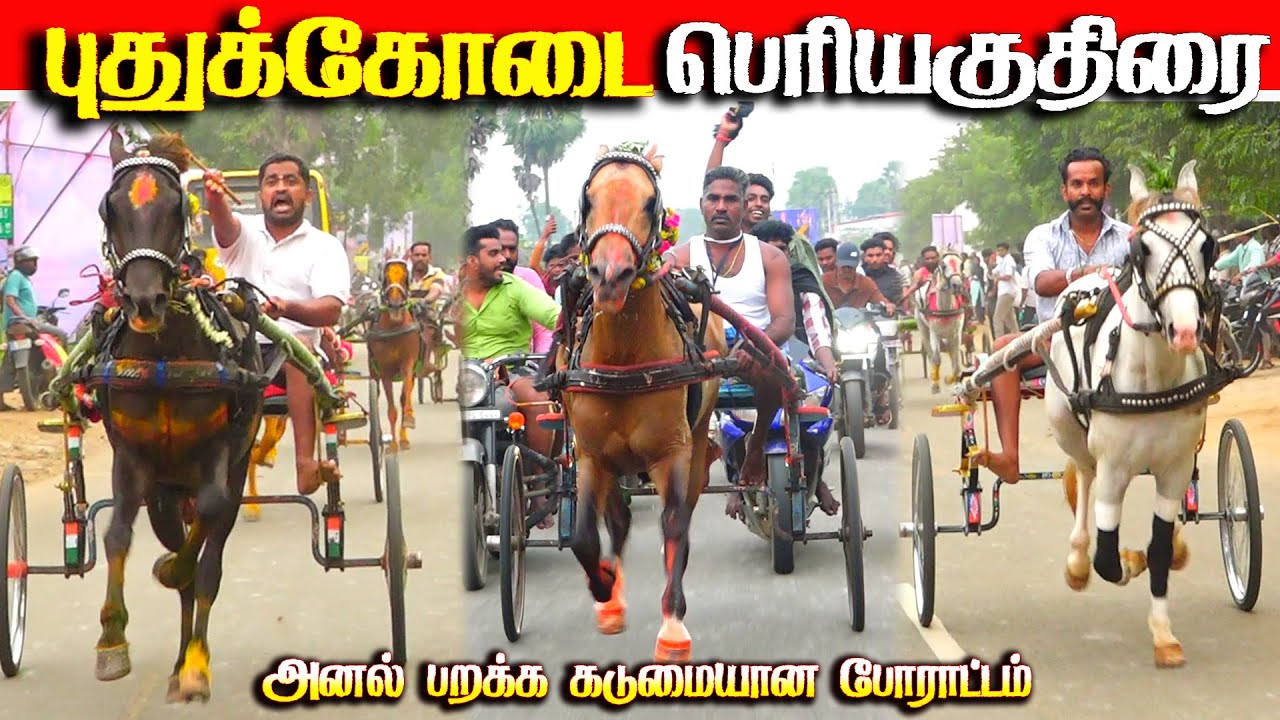 புதுக்கோட்டை பெரியகுதிரை  பந்தயம் 07.12.2025