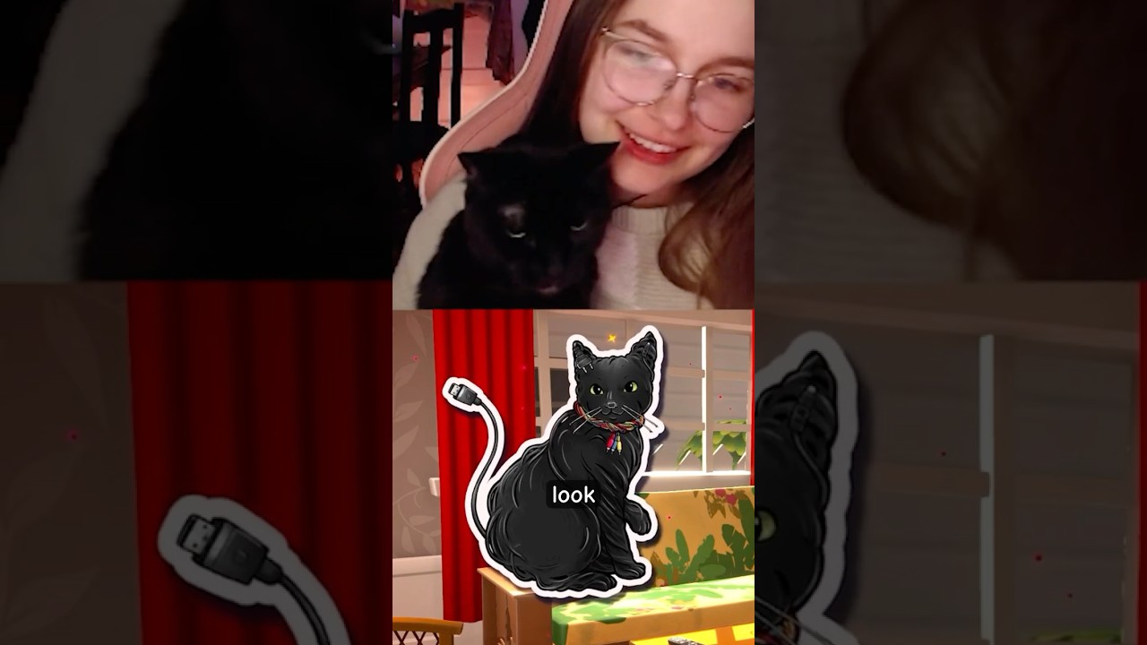 MY CAT is in #dateeverything