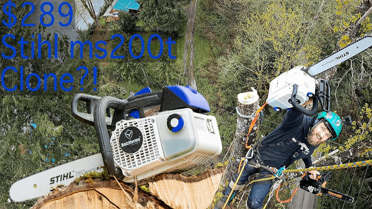 Cutting Down a HUGE 170ft Tree with a 289 Stihl ms200t Knockoff Holtzforma G111 Review