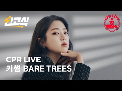 겨울에 마른 나뭇가지 나같아 / 2년만에 나온 키썸의 신곡 '사실 누군가 날 감싸 안아 주길 원해' / bare trees