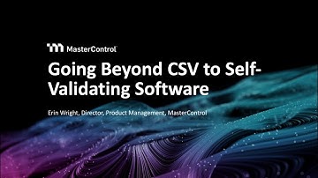 Going Beyond CSV to Self Validating Software