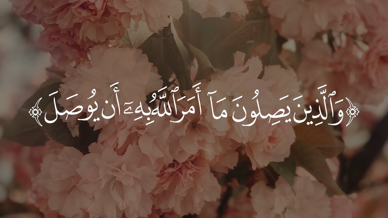 والذين يصلون ما أمر الله به أن يوصل - الشيخ د. محمد بن هادي المدخلي