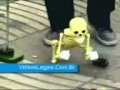 Most Funny Video In World 3gp Most Funny Video In World 3gp