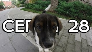 ЖИЗНЬ ПО-ПЕКИНСКИ // КРУГОСВЕТКА - СЕРИЯ 28 ЖИЗНЬ ПО-ПЕКИНСКИ // КРУГОСВЕТКА - СЕРИЯ 28