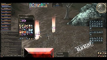 Lineage 2 = Brthunder.net  Foxchiter Hero