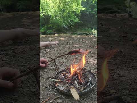 Swamp boy cooking ! #woodland #river #nature #camping #outdoorlife #bbq #fire #hiking #exploring #uk