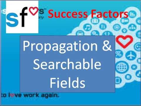 Success Factors: Propagation and Seachable fields configuration