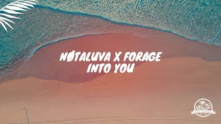 NØTALUVA x Forage - Into You
