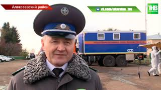 Вспышку сразу нескольких особо опасных заболеваний животных остановили в Татарстане Вспышку сразу нескольких особо опасных заболеваний животных остановили в Татарстане