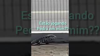 cara eu n sei dublar! #dublagem #lagartos #engraçados