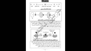 ملخصات علوم طبيعية لجميع الوحدات باك 2023