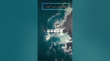 سورة هود الآية .42-43