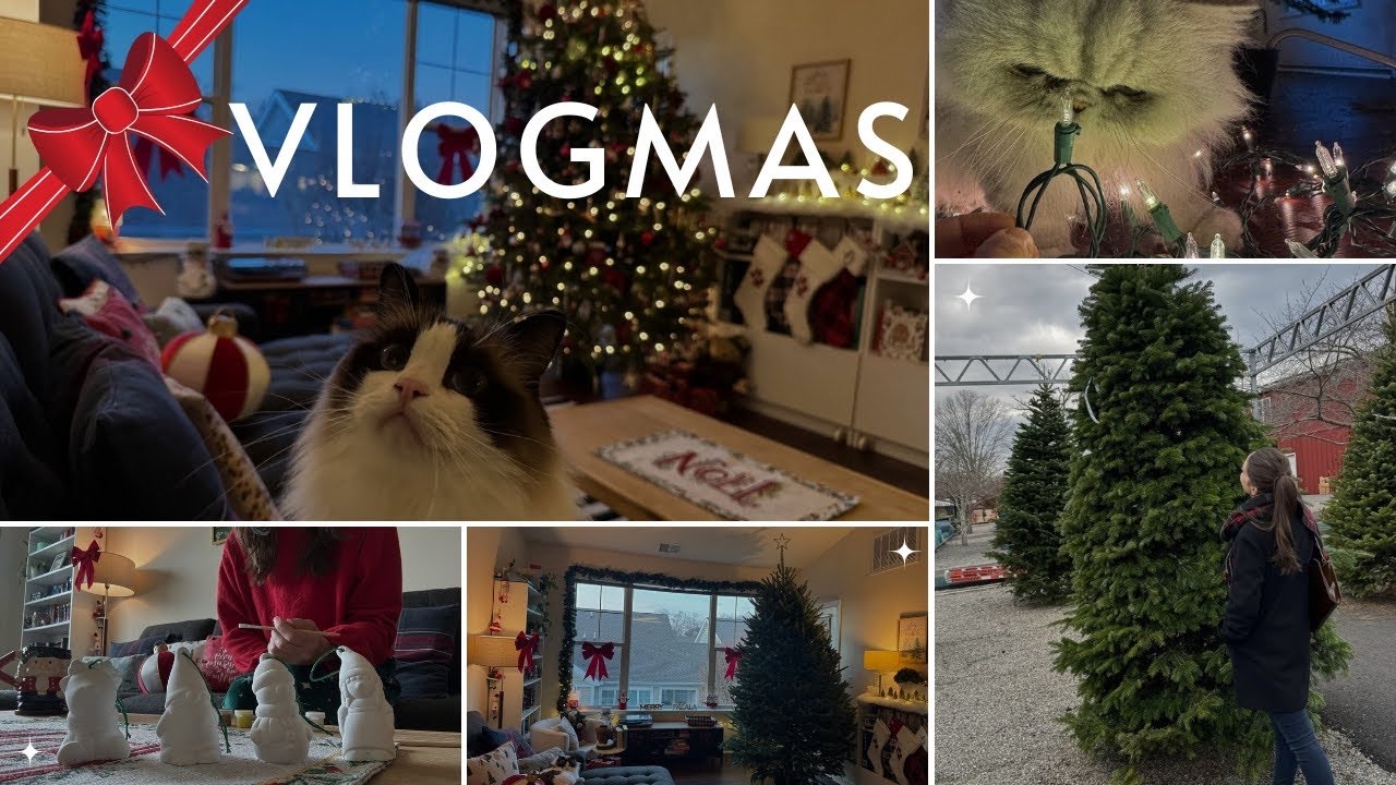 Vlogmas✨Sapin naturel🌲Déco & craft de Noël 🫎
