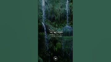 جَزَاؤُهُمْ عِندَ رَبِّهِمْ جَنَّاتُ عَدْنٍ| تلاوة تشرح الصدور