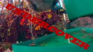 Cat Undercover with GoPro HD by GoPro Cat & Dog Videos 290 views 8 years ago 5 minutes, 15 seconds