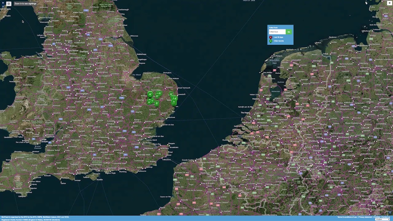 BirdTrack - tour of the homepage - YouTube