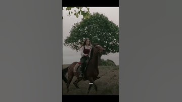 Thumbnail of بين العصر والمغرب #بين_العصر و المغرب #خيالية #خيل