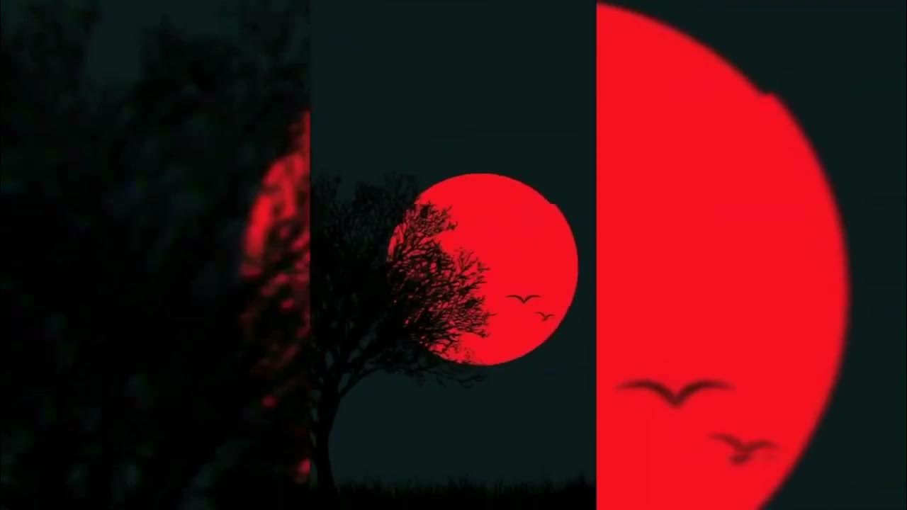 песня просто давай напьемся после заката