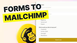 The 1-Minute Mailchimp Setup | Mosaic