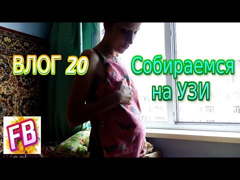 VLOG 20 I&rsquo;m pregnant Our cats are our kids