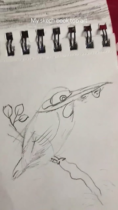 my skech book top art