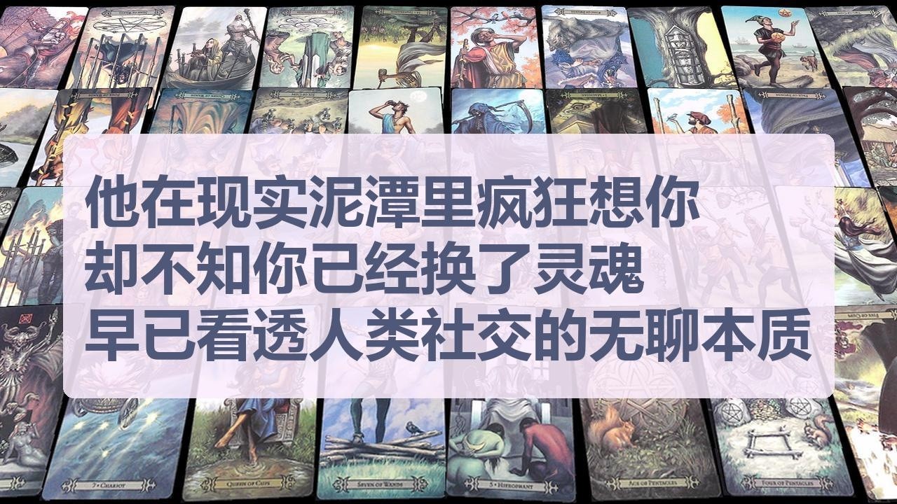 Tarot✨他在现实泥潭里疯狂想你，却不知你已经换了灵魂，早已看透人类社交的无聊本质