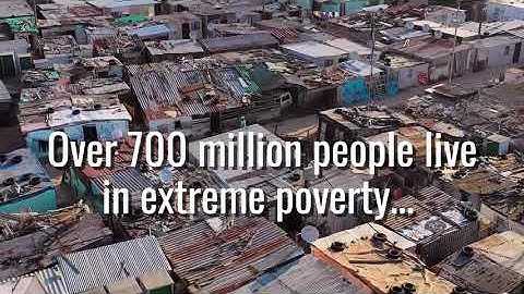 Make an Impact with Acorn Foundation