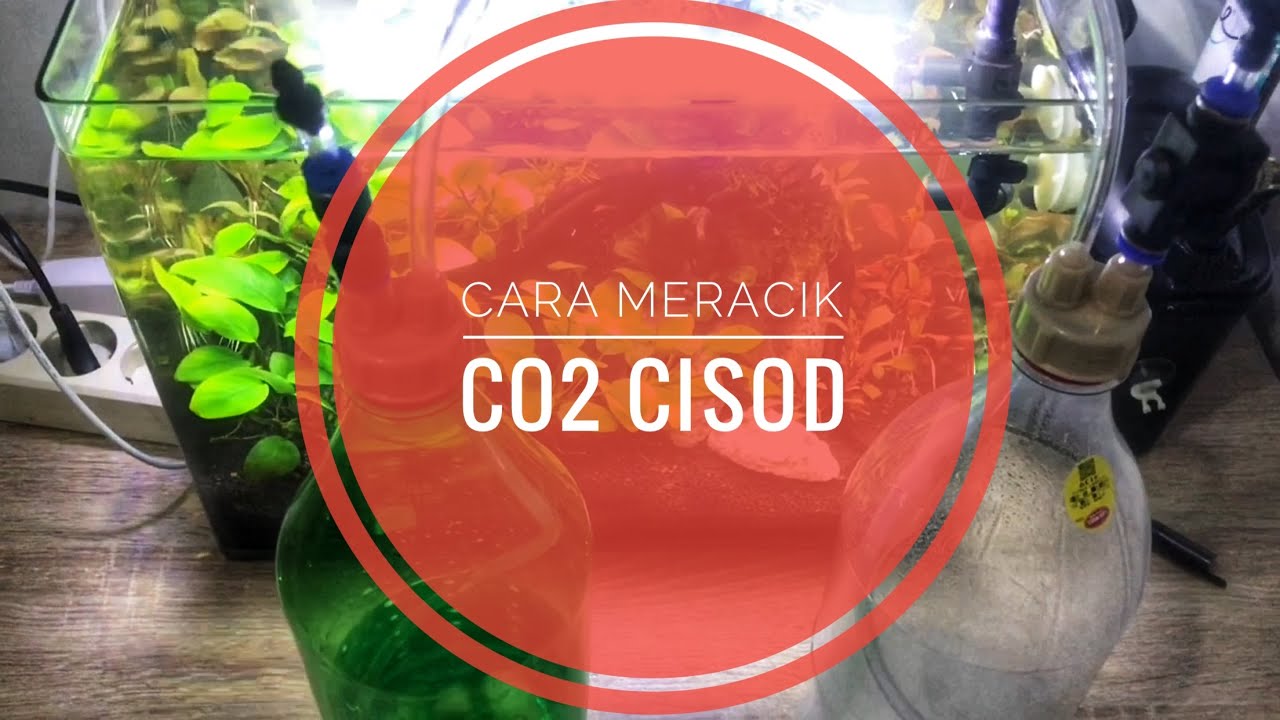 Cara Membuat Dan Meracik CO2 DIY CISOD Citric Acid Baking Soda 